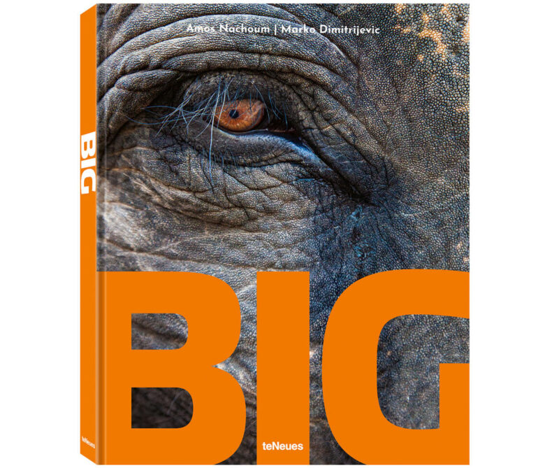 BIG – Giganten im Tierreich