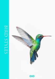 Bird Style