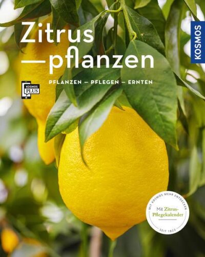 Mein Garten - Zitruspflanzen