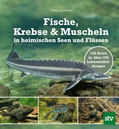 Fische, Krebse u. Muscheln