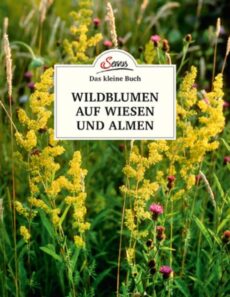 Servus – Wildblumen