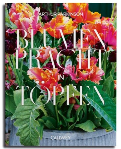 Blumenpracht in Töpfen