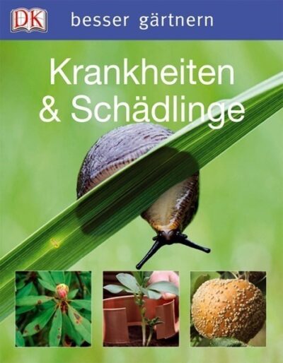 begä - Krankheiten & Schädlinge