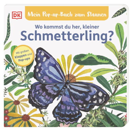 Pop-up Buch zum Staunen: Schmetterling