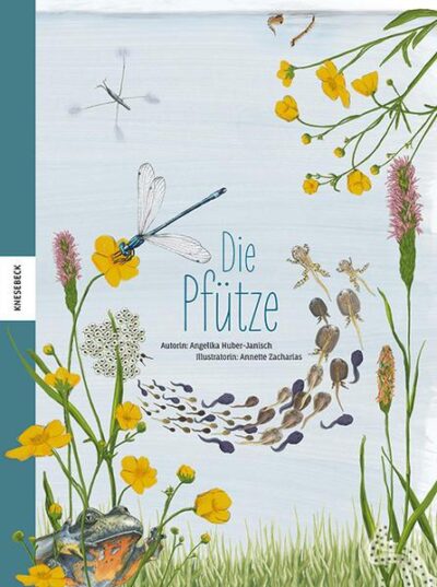 Die Pfütze