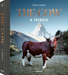 engl – The Cow