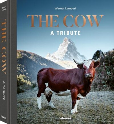 engl - The Cow