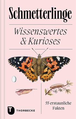 Schmetterlinge – Wissenswertes