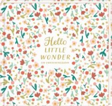 Hello Little Wonder