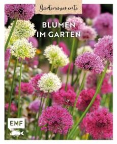 Gartenmomente – Blumen im Garten