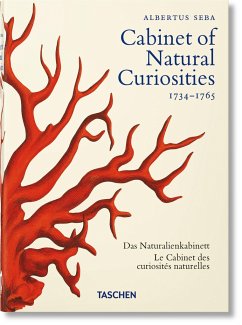 Seba. Cabinet opf Natural Curiosities 40th (INT)