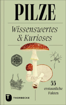 Pilze – Wissenwertes & Kurioses