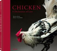 Chicken – declaration of love