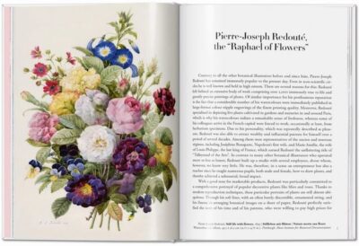 Redouté. Roses The Complete Plates 1817-1824 (Dt/engl/frz) – Bild 2