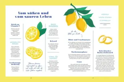 Kaliméra Sommerküche aus Griechenland – Bild 4