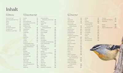 Vögel - Eine Natur- und Kulturgeschichte – Bild 3