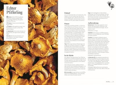 Pilze. Das Kochbuch – Bild 3
