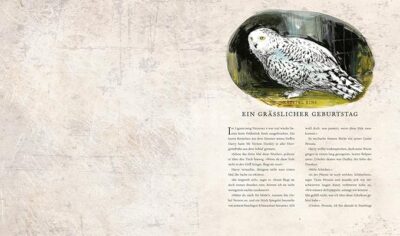 Harry Potter und die Kammer des Schreckens – Bild 2