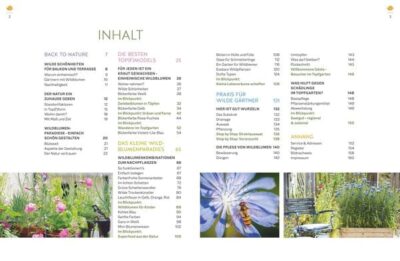 Wildblumen für Balkon und Terrasse – Bild 2