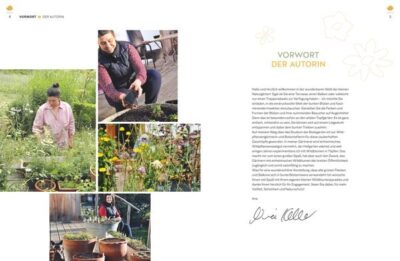 Wildblumen für Balkon und Terrasse – Bild 3