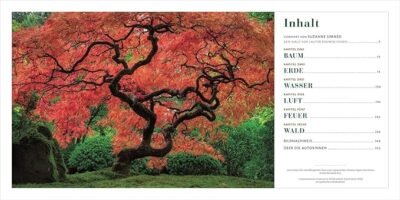 National Geographic Bildband – Die wunderbare Welt der Bäume – Bild 2