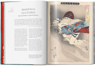 Witchcraft. The Library of Esoterica (engl.) – Bild 2