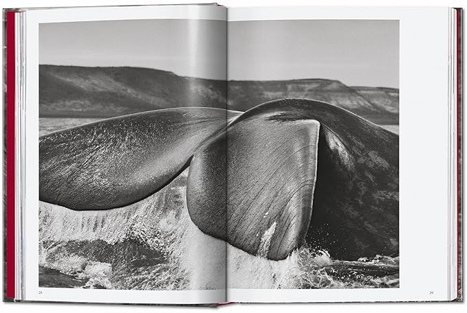 Sebastião Salgado. Genesis. 45th Ed. – Bild 3