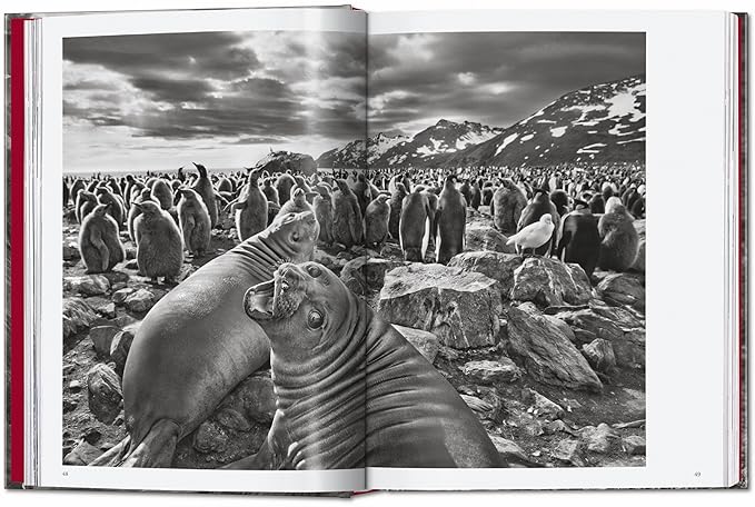 Sebastião Salgado. Genesis. 45th Ed. – Bild 4