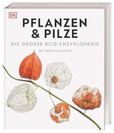 Pflanzen & Pilze