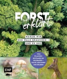 Forst erklärt