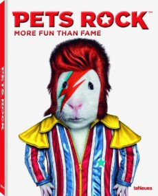 Pets Rock