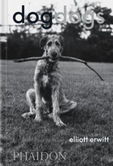 DogDogs (eng.)