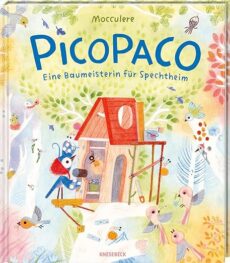 Picopaco