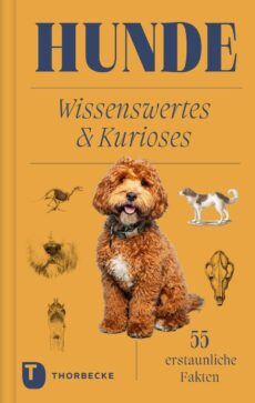 Hunde: Wissenswertes & Kurioses – 55 erstaunliche Fakten